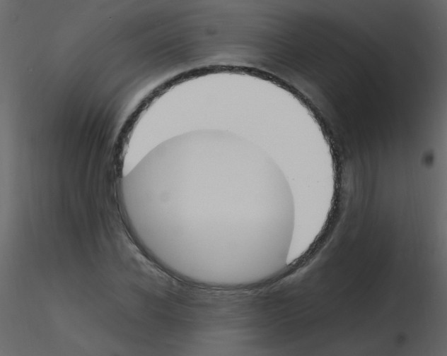 X0000115760926200912241726