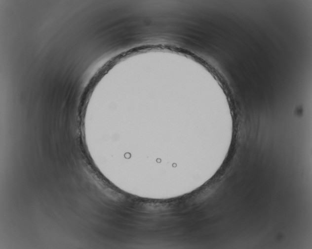 X0000115760927200912241726