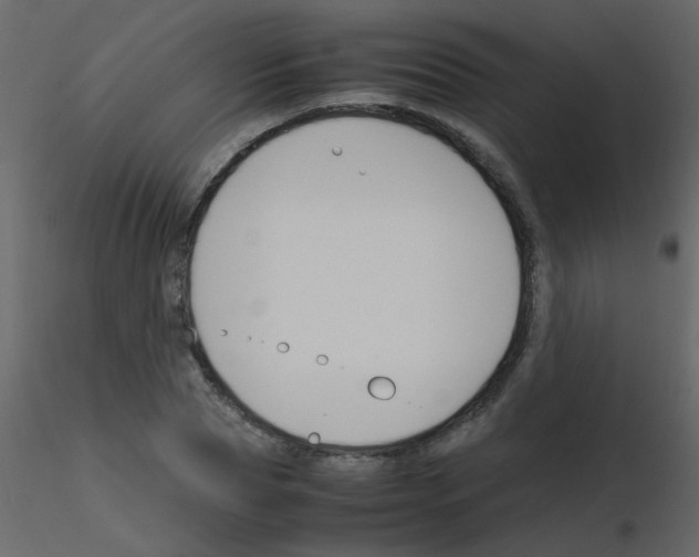 X0000115760929200912241726