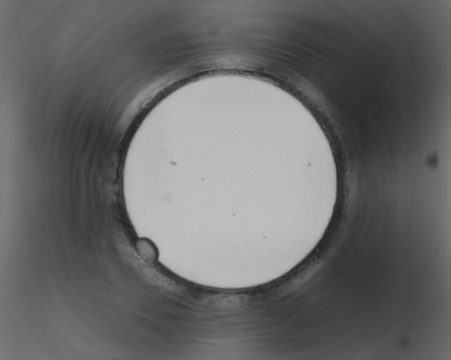 X0000115760930200912241726
