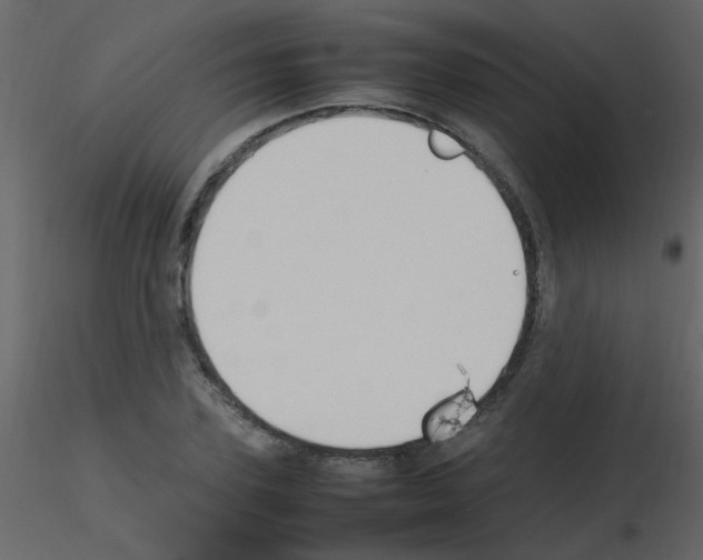 X0000115760931200912241726