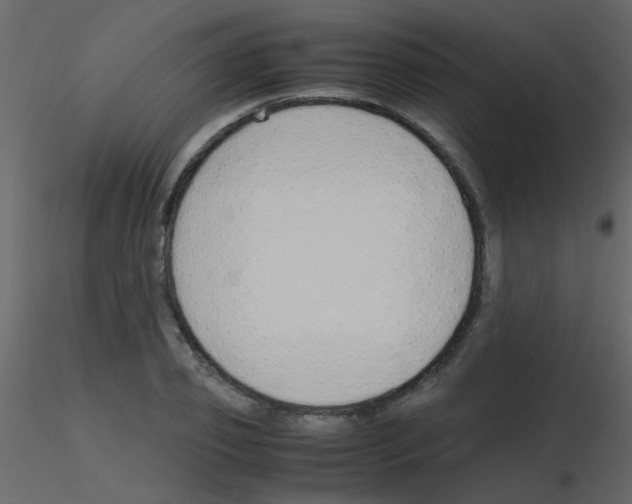 X0000115760933200912241726