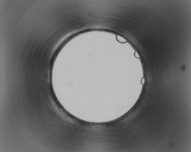 X0000115760934200912241726