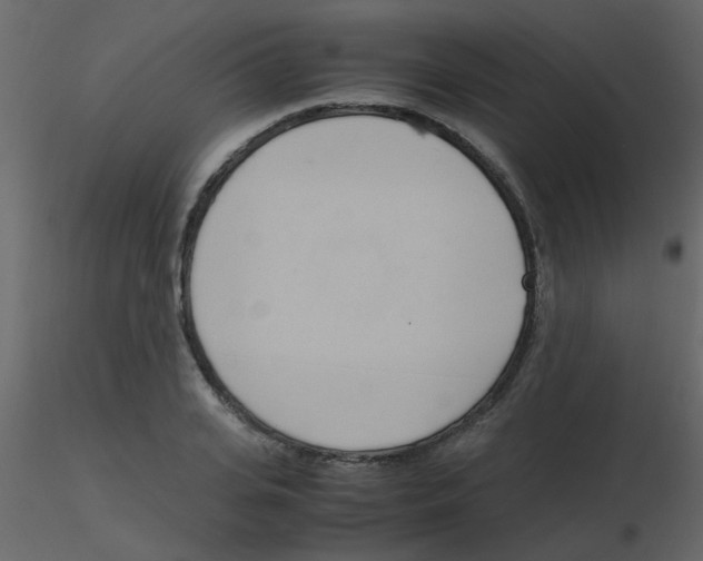 X0000115760935200912241726