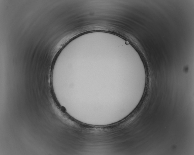 X0000115760938200912241726