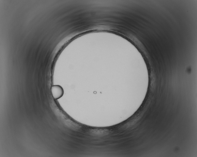 X0000115760939200912241726