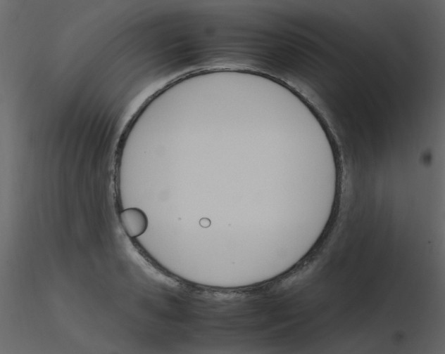 X0000115760941200912241726