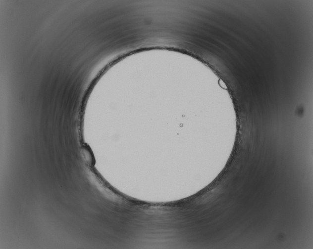X0000115760942200912241726