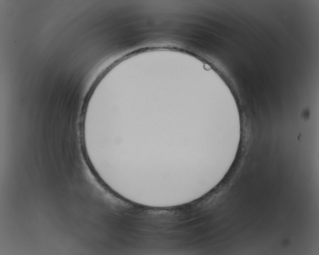 X0000115760943200912241726