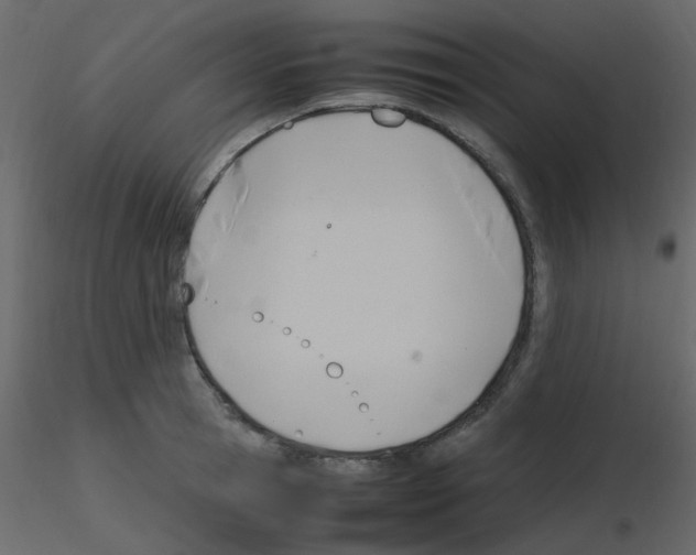 X0000115760945200912241726