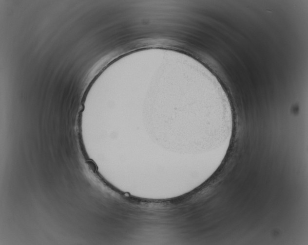 X0000115760946200912241726