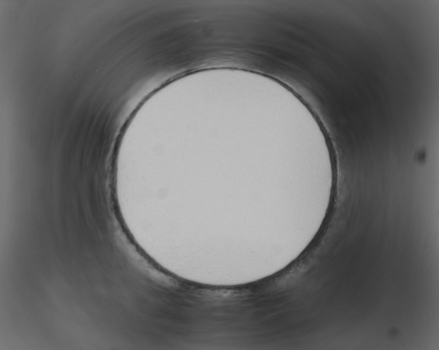 X0000115760949200912241726