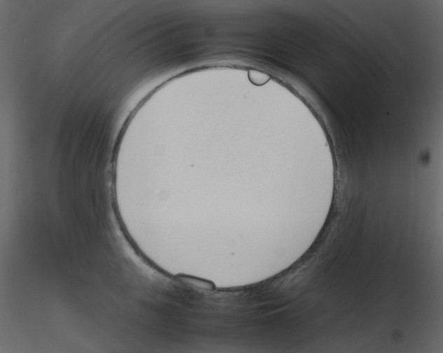 X0000115760951200912241726