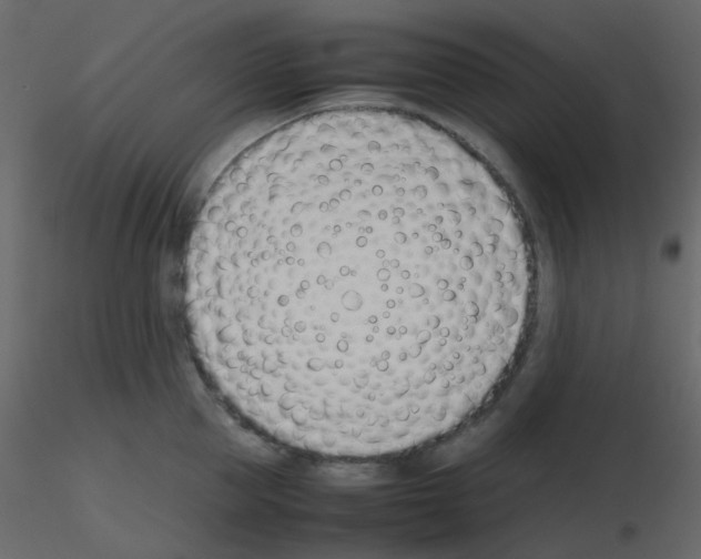 X0000115760953200912241726