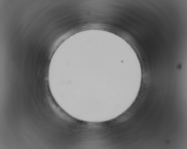 X0000115760954200912241726