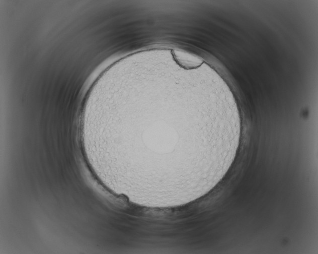 X0000115760955200912241726