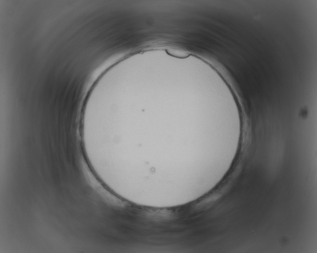 X0000115760957200912241726