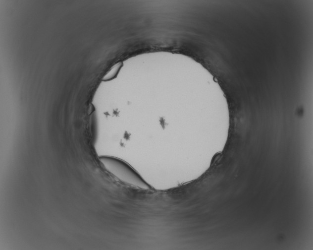 X0000115760961200912241725