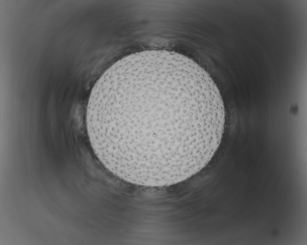 X0000115760962200912241725