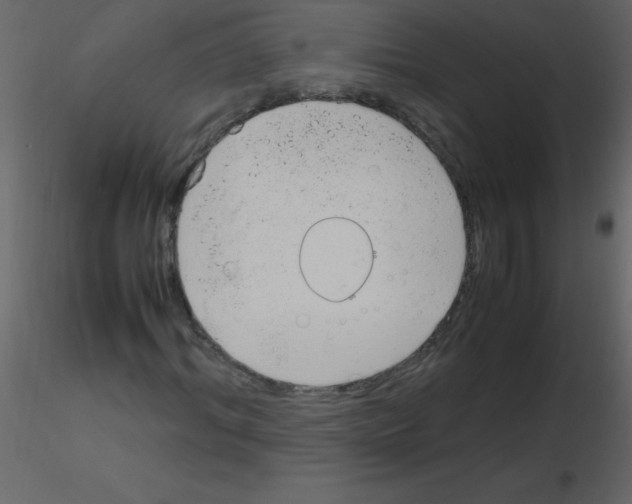 X0000115760964200912241725
