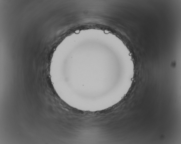 X0000115760965200912241725