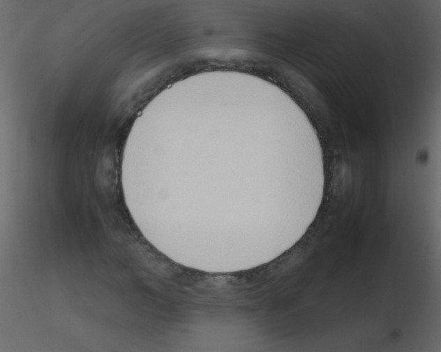 X0000115760966200912241725