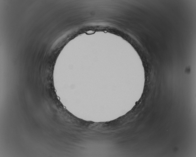 X0000115760967200912241725