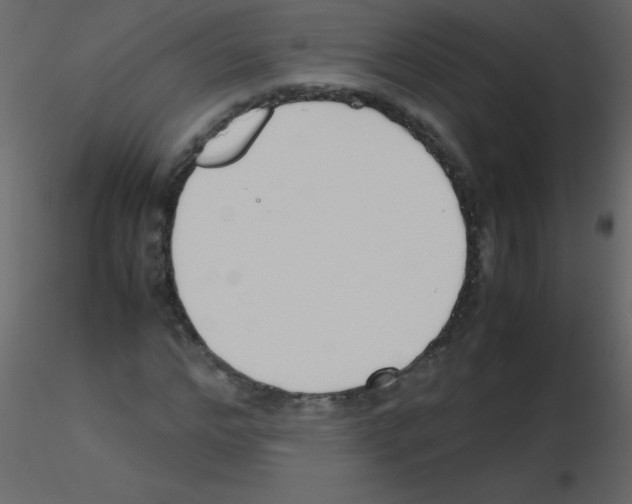 X0000115760968200912241725