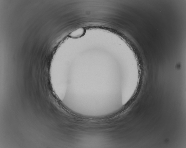 X0000115760969200912241725