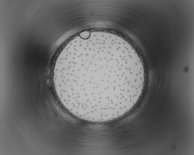 X0000115760970200912241725