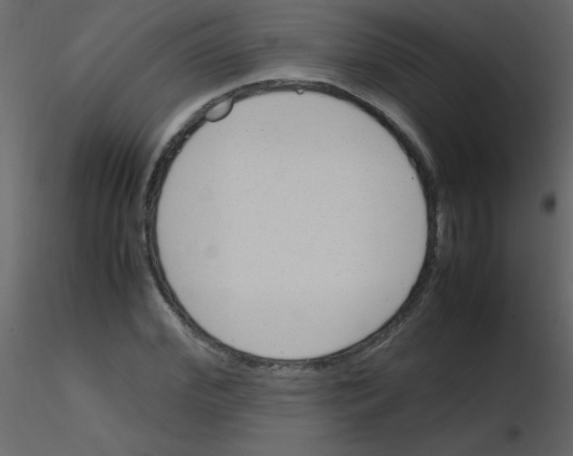 X0000115760972200912241725