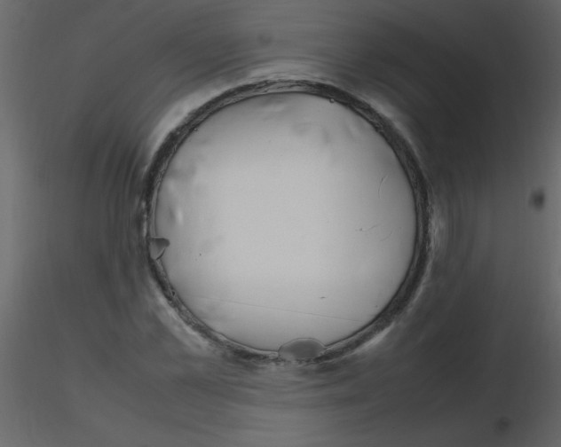 X0000115760973200912241725