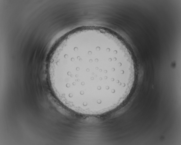 X0000115760974200912241725