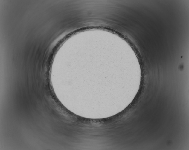 X0000115760975200912241725