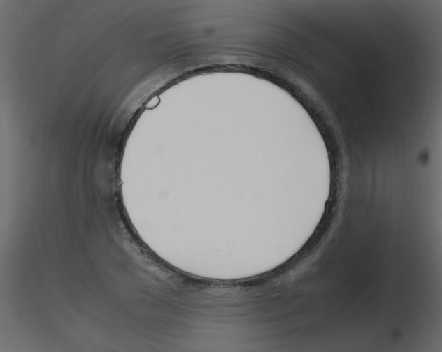 X0000115760977200912241725