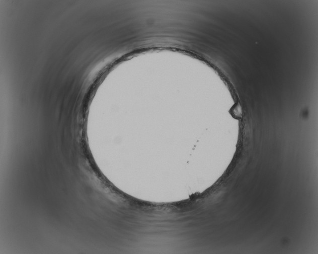X0000115760979200912241725