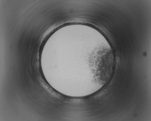X0000115760982200912241725