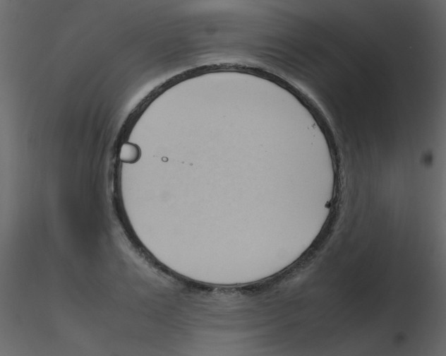 X0000115760983200912241725