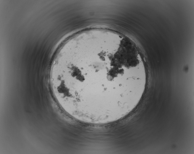 X0000115760984200912241725