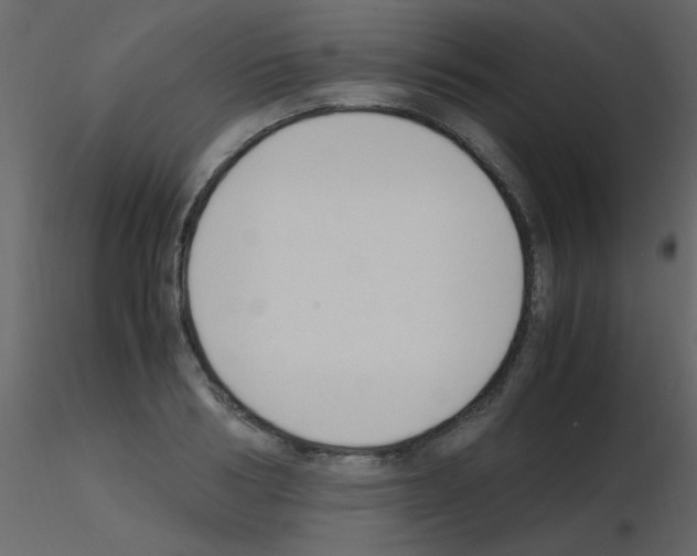 X0000115760986200912241725