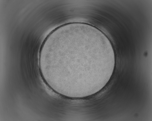 X0000115760988200912241725