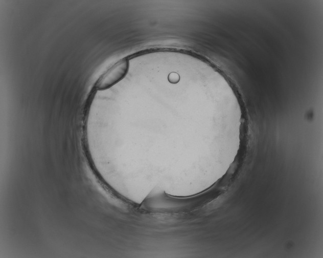 X0000115760989200912241725