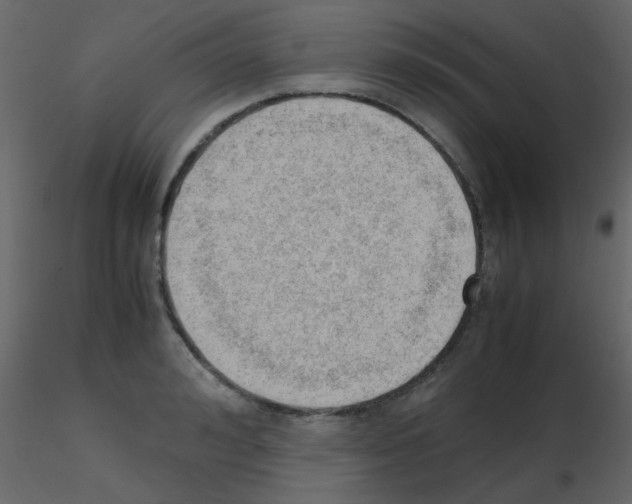 X0000115760992200912241725