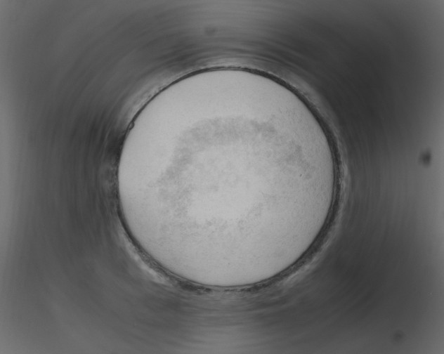 X0000115760993200912241725