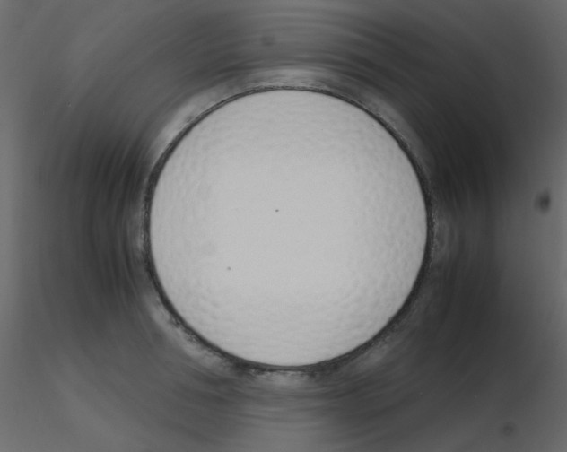 X0000115760994200912241725