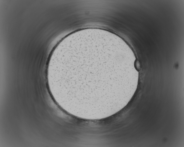 X0000115760995200912241725