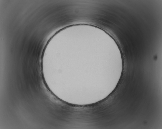 X0000115760996200912241725