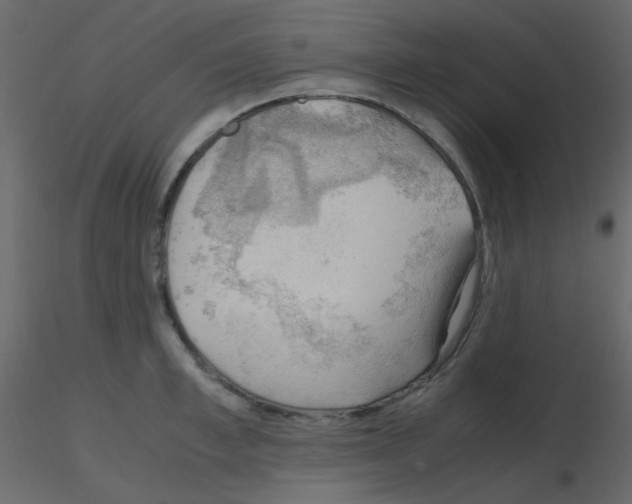 X0000115760997200912241725