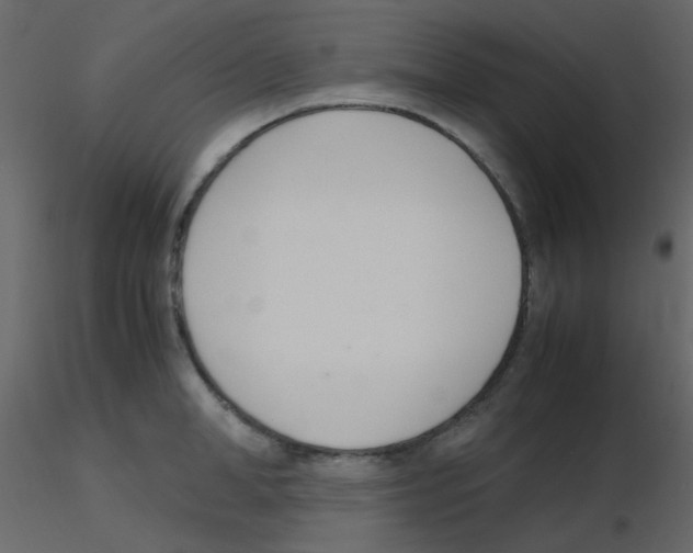 X0000115760998200912241725