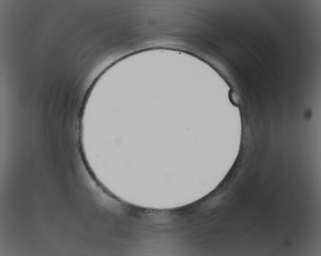 X0000115760999200912241725